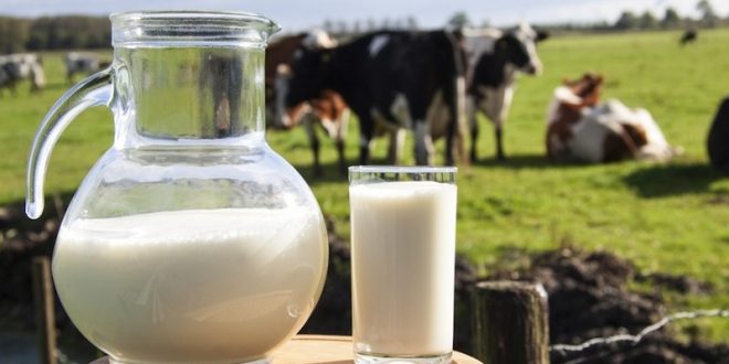 Assistência Técnica ao produtor de leite